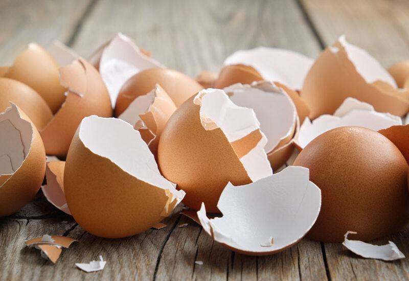 3 dingen die je met eierschalen kunt doen